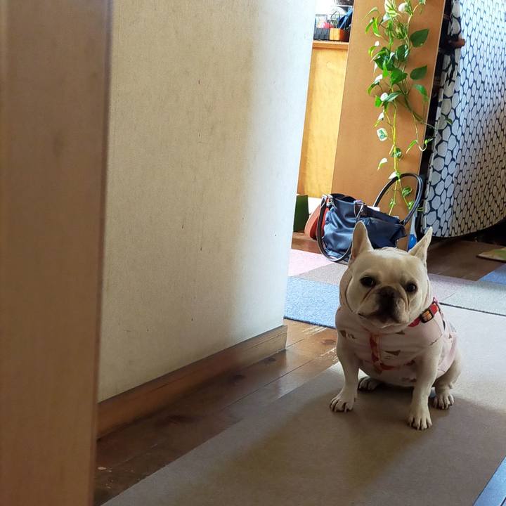 0f1f9645 6a24 417a 9db9 b194478e8792 1637106179938