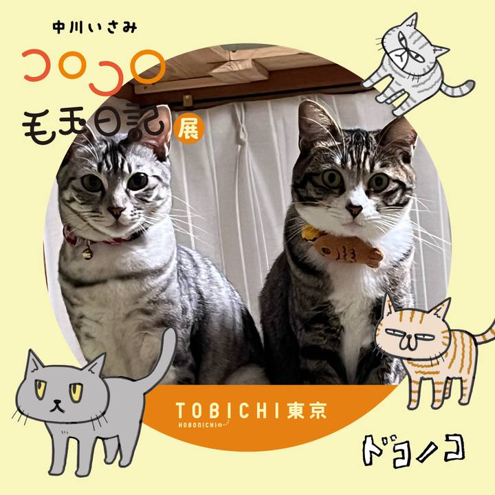 0f1fba48 7833 4cc9 95af b25919456186 1740109177707