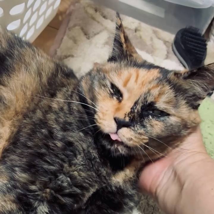 0f1fc034 9bf0 465a 8954 83e2f073201c 1757707657031