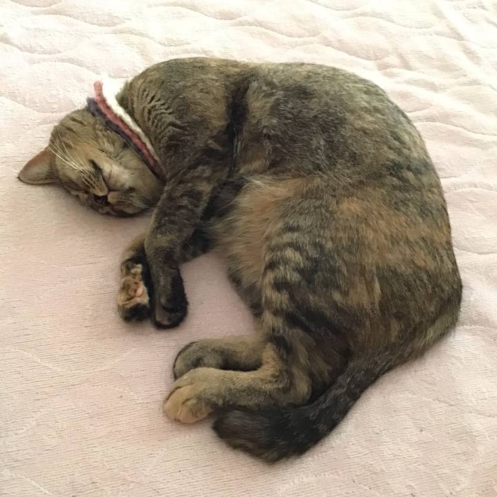 0f1ff7c4 c4be 4f9e a77a bec90906d93c 1625871922859