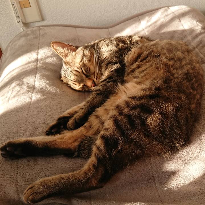 0f20196e e08a 4221 856c 71bbda0348db 1613461419108