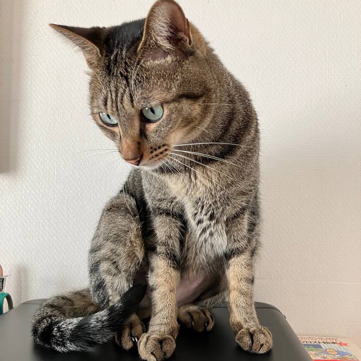 0f201ecd 1dc9 463d bc77 bde72e7f92f3 1760051272535