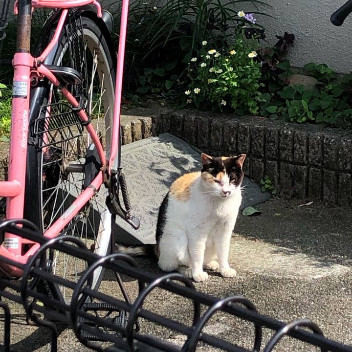 0f2031f0 03b7 4238 b62c e62c6effa64d 1656520944005