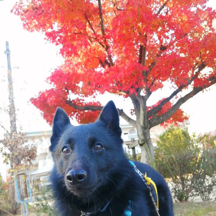 0f2051b0 de5f 4ecd af75 cee4f2feeeb0 1670973396129