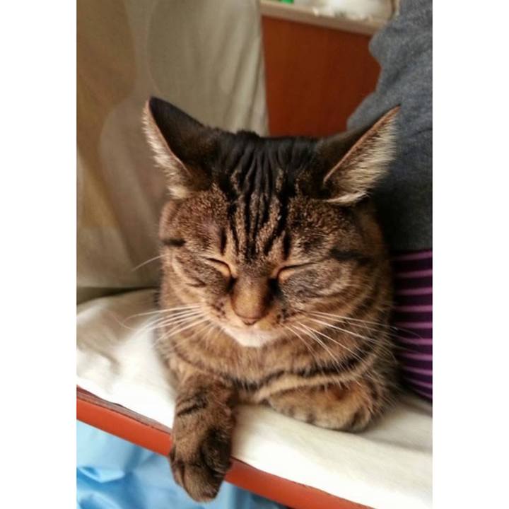 0f208848 06c2 4e55 8029 162f4f7aecfd 1766128773876