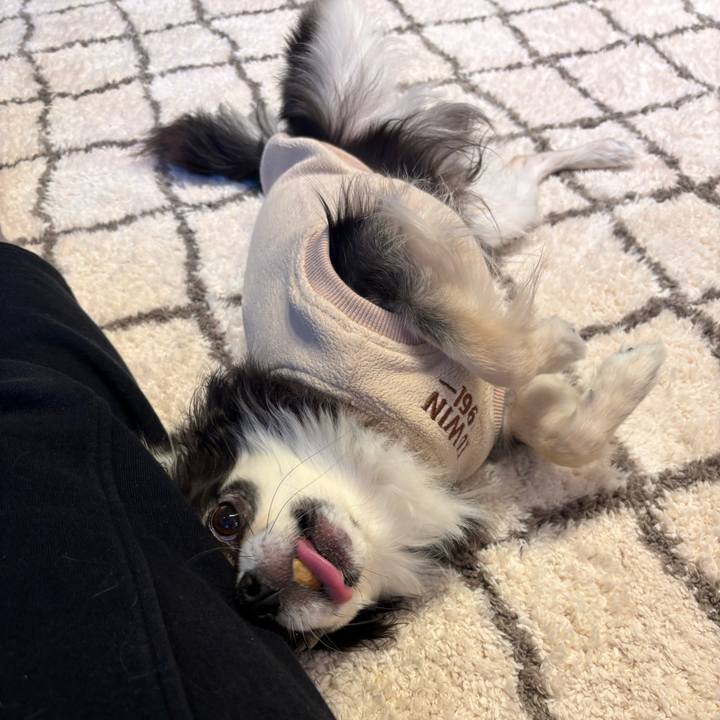 0f209b46 0201 40b3 af84 91e628f11a09 1734194241917