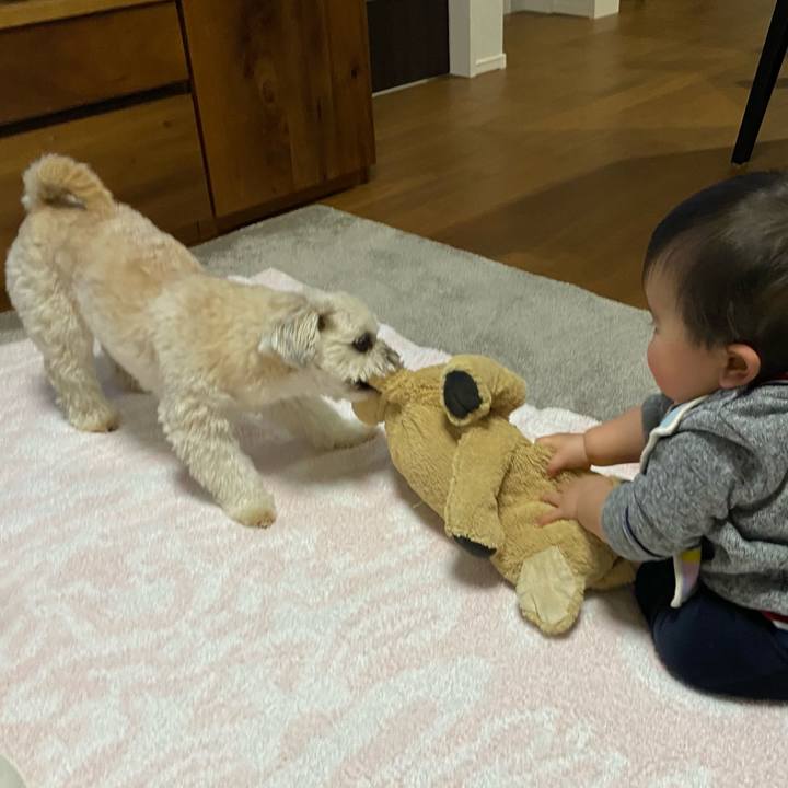 0f20a8f1 9e38 43cd 8882 82f4922e2e57 1646482929266