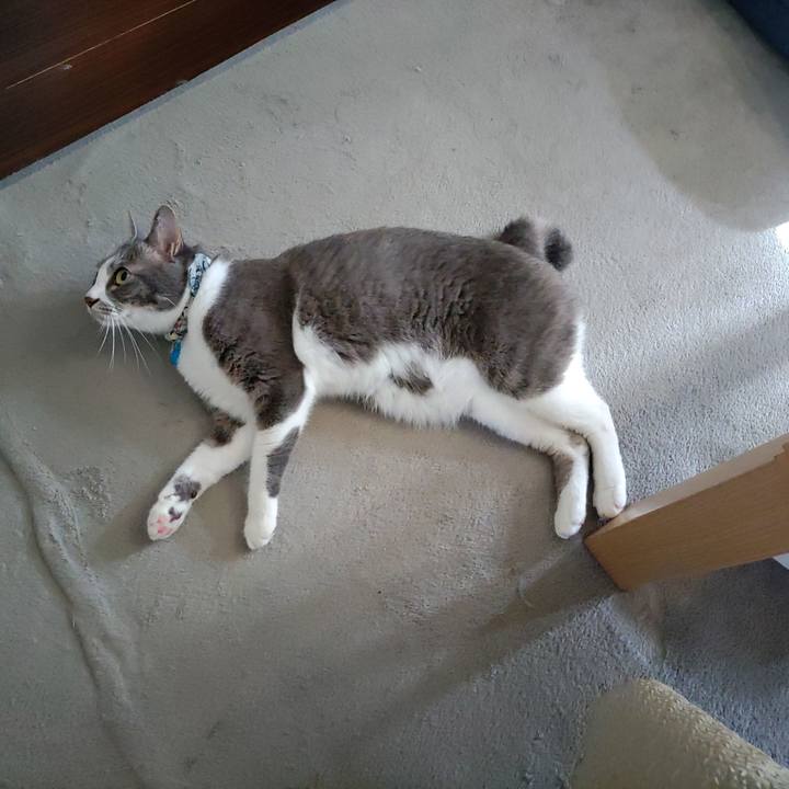 0f20bbcd 7389 4efd ba30 0647d516260a 1694657475374