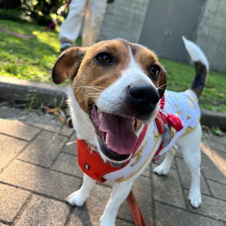 0f210da9 6a18 4079 83bd 91ad21a647cc 1718280918758