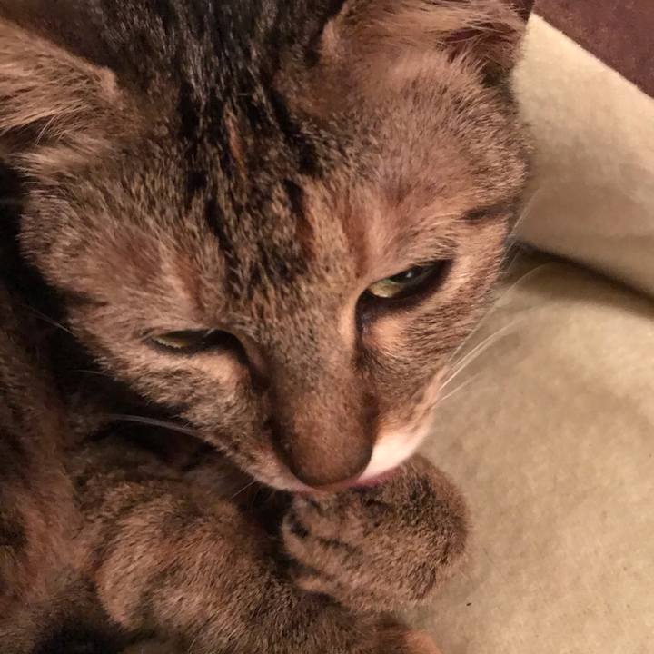 0f21c8cb 604a 4a44 98d4 5007aaa190d6 1579351622749