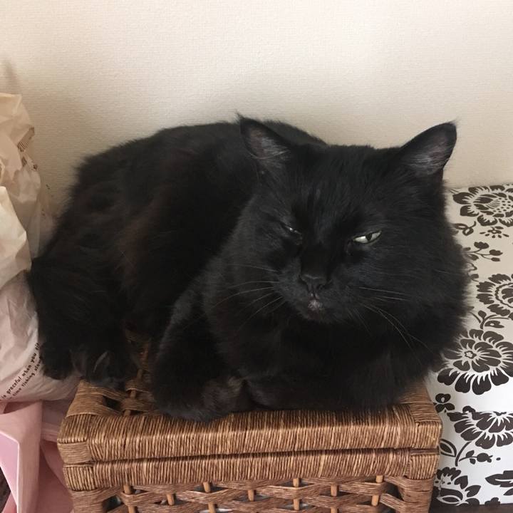 0f220e75 cbf1 403b 8cfc f4e96ee12786 1526520415813