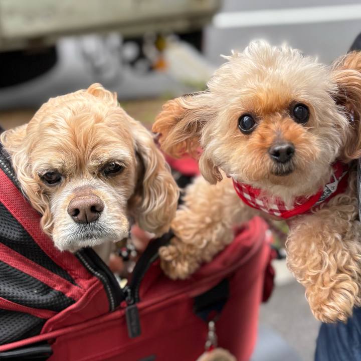 0f222799 3b71 4988 9140 fc63fd4f3475 1775051641529