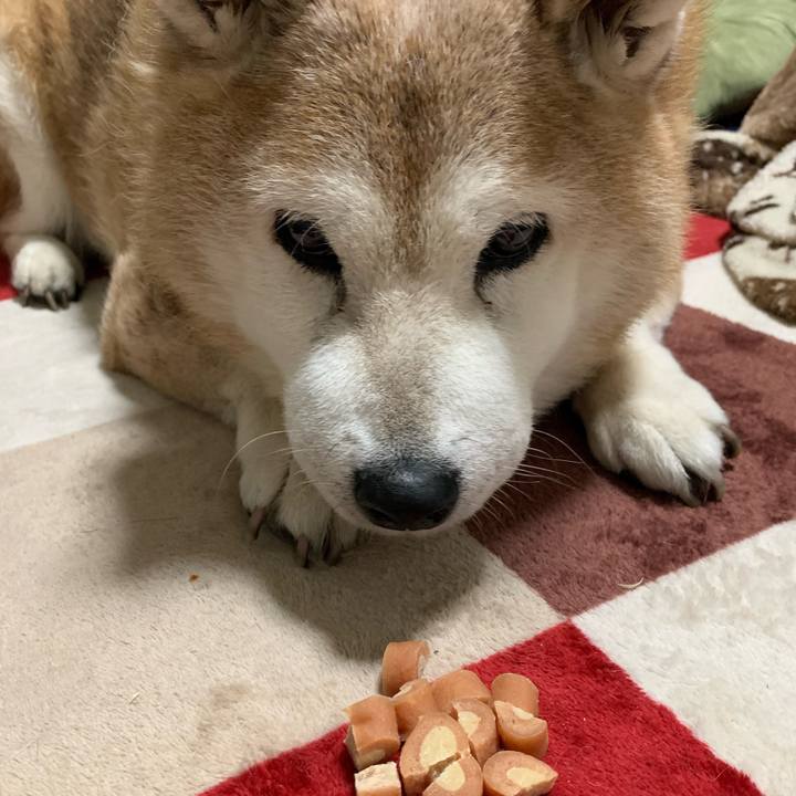 0f22b0e4 00c3 43dd 88fe 68d7284452e5 1639402535223