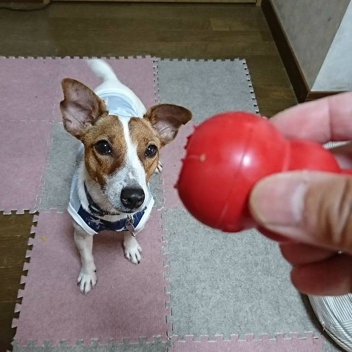 0f22b702 1972 4a8e b4a0 b89c0f7f1675 1530924408295