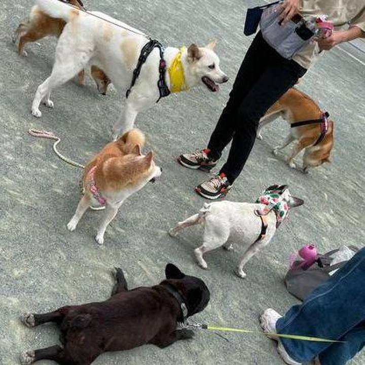 0f22b74c d1bf 44da b80d 1eb9b1e22677 1688393183991