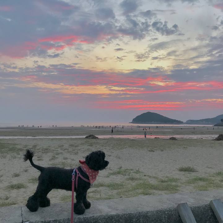 0f22db0c 1115 4b60 8712 af7f0054320d 1566146024929