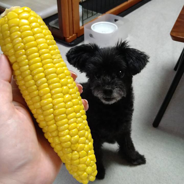 0f22eb13 3a27 41c5 81de da3785b151c5 1629716068454