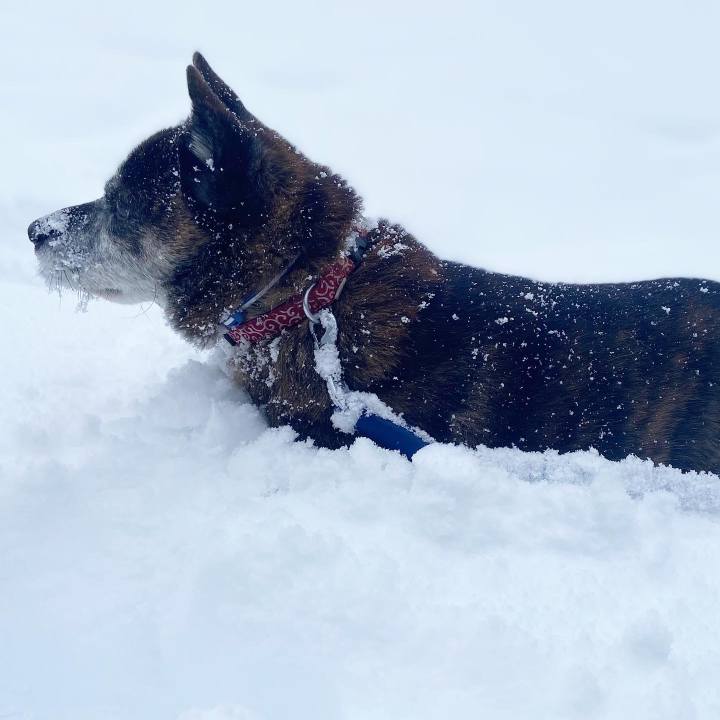 0f22f922 6324 4638 990e 55222edee7cd 1671421215598