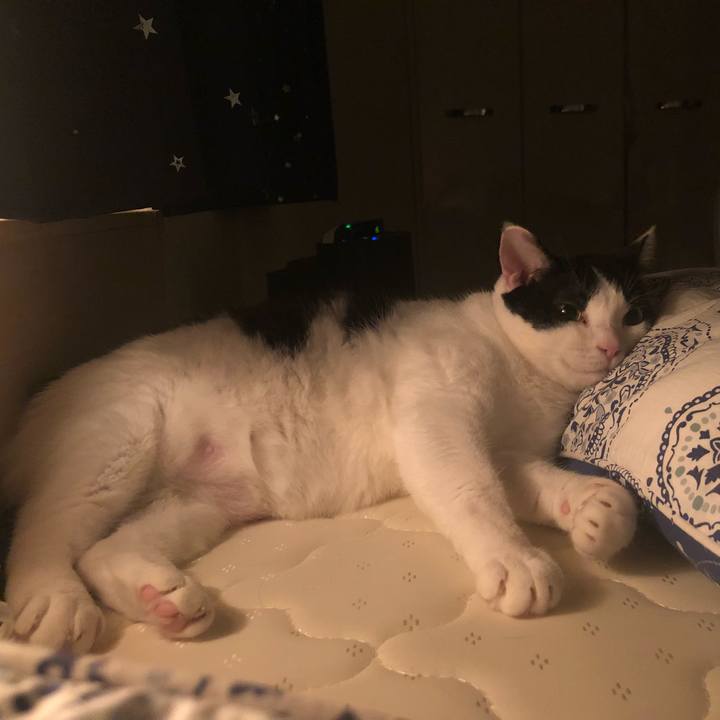 0f2300aa a81e 487f abe3 b8cc040b2f52 1534175750322