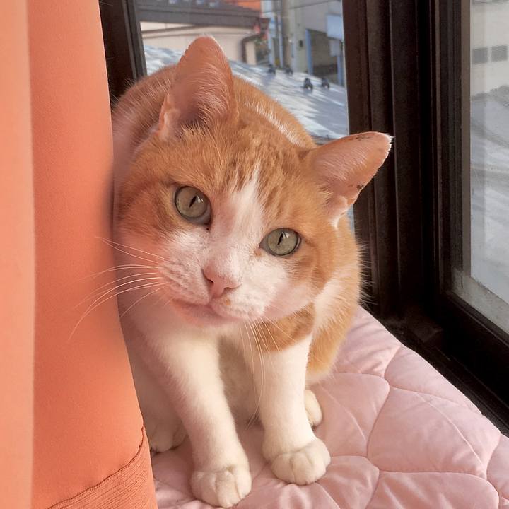 0f231dec 6a9f 467b bd03 b388d056a48c 1584339380898