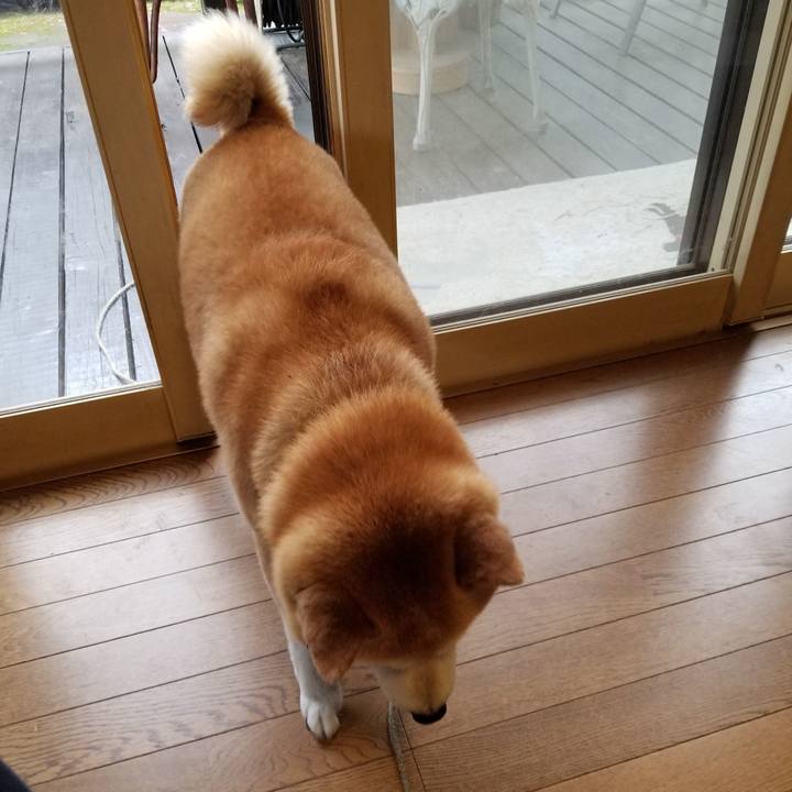 0f232585 2349 469e 9989 01b85a161bf1 1655247448819