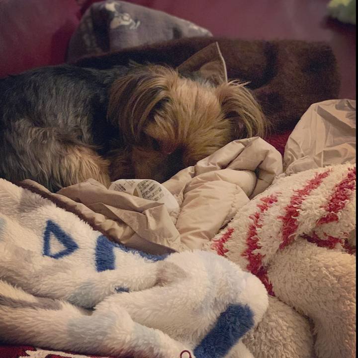 0f23444e 3a71 4f15 a2f8 f7077db3a6cc 1640089809069