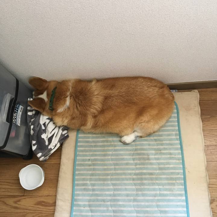 0f236bb0 e338 444e a104 ff7d186e73e0 1531274922773