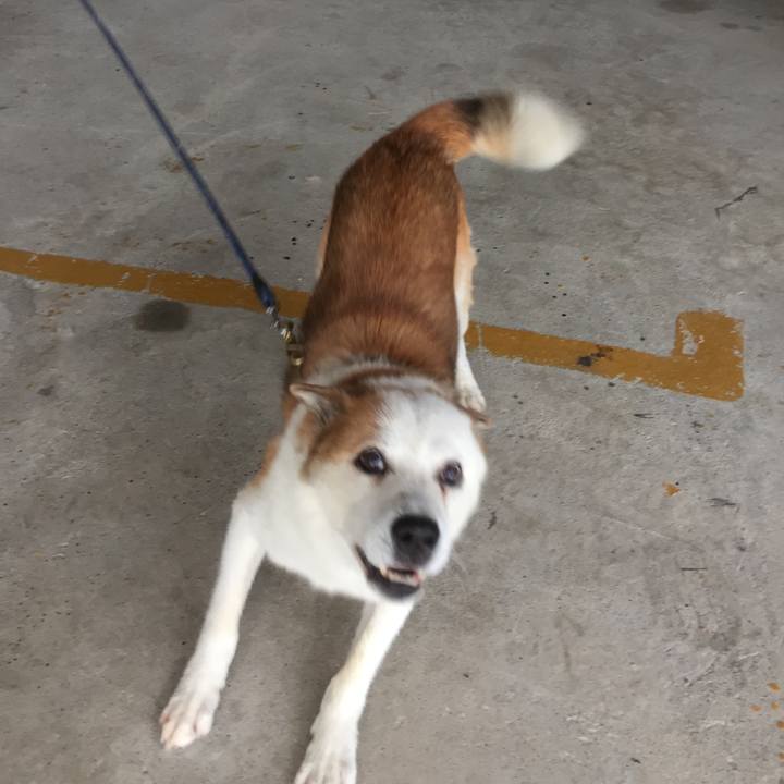 0f23bc7b 3003 4ded 84c6 90232283dd9d 1572082096249