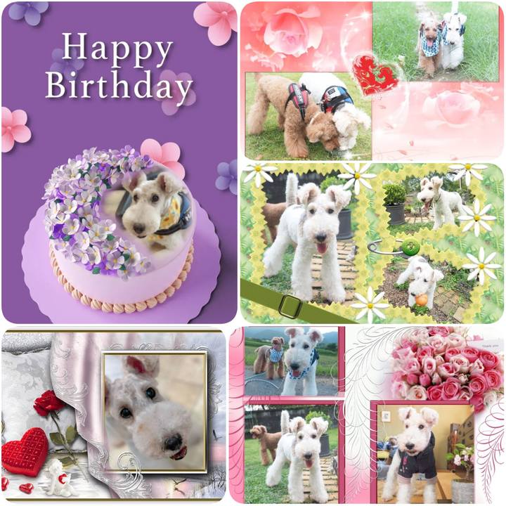 0f23d330 bf04 4e4f a1cc ebd7ed6254da 1631846843159