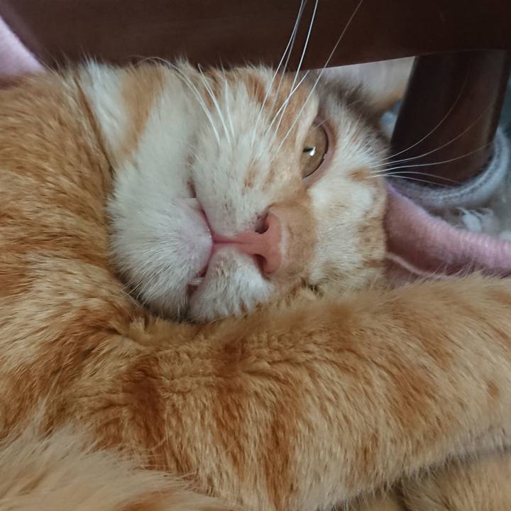 0f23d439 bc8b 4fdb 8e7d b5f43200f8d2 1645074739950