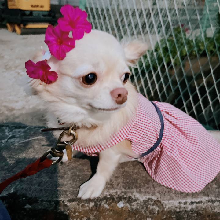 0f23e592 7f07 4e16 aeb6 2ba0119a95e9 1660988885759