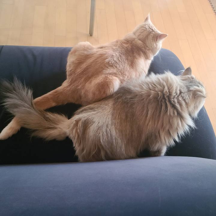 0f23e6b3 2882 4ca0 b40e 20fc23d0307d 1649797330300