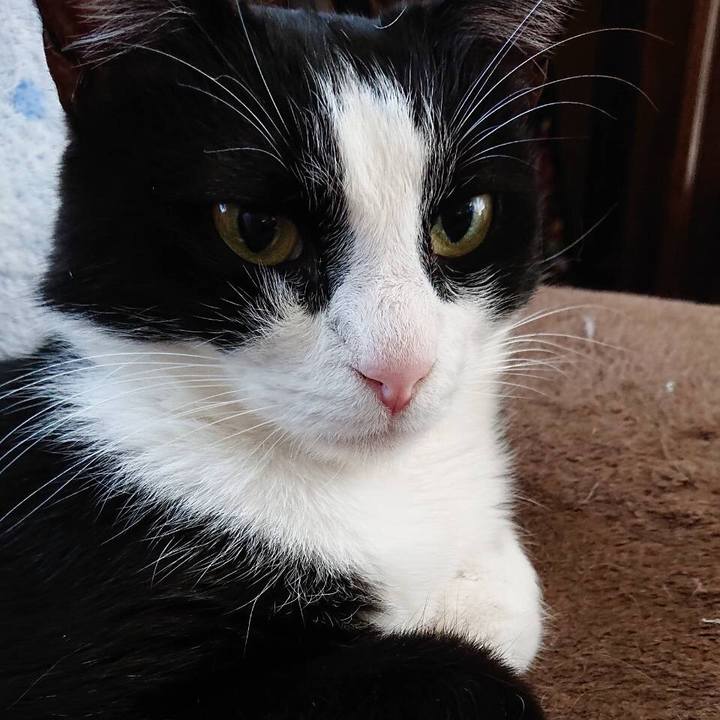 0f23eb60 5b68 468f 9248 9ab9f562d94e 1581329589505