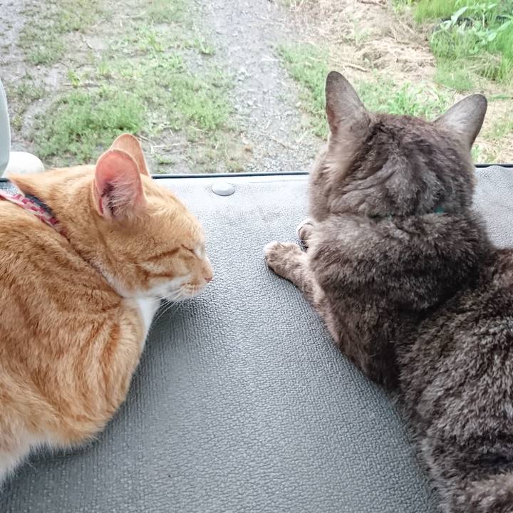 0f24090e 426b 47ec 8391 73e6d50dab10 1563614332822