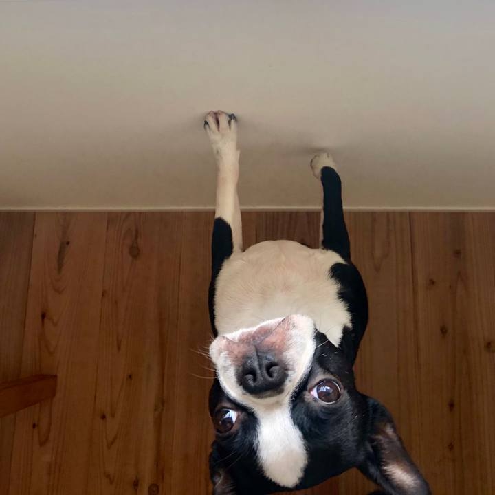 0f24097d 1305 4b99 b811 a01c906e5385 1561090503945