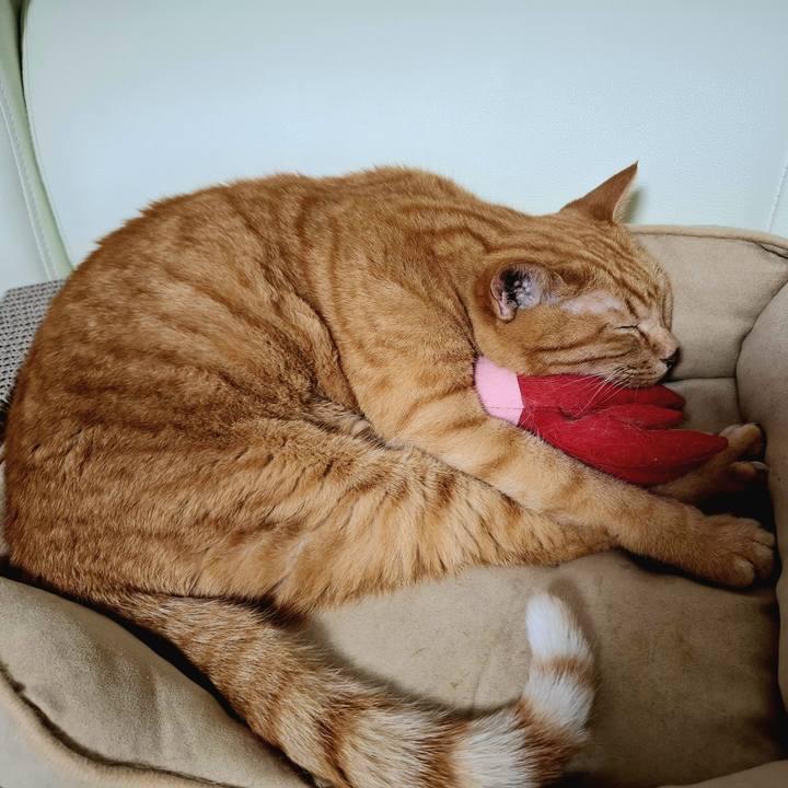 0f240b38 a59e 4d3a b88f 27209cd065be 1752056528295