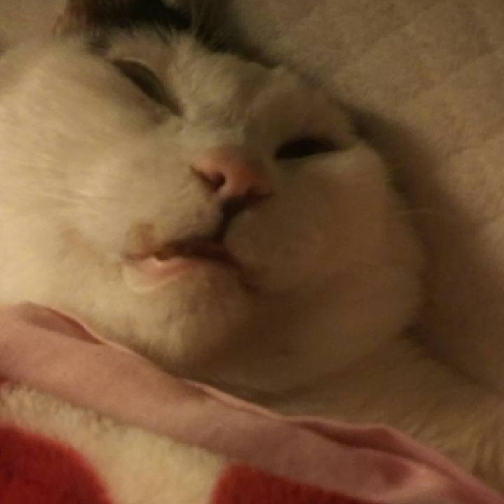 0f241e2d 1747 48b2 918a 232097e54e80 1534506352213