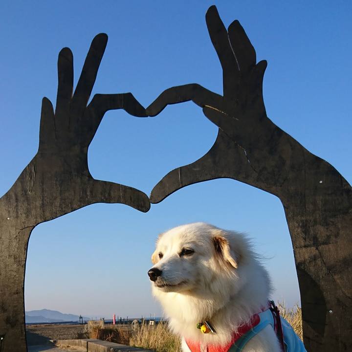 0f241fbd a4bc 4e48 a9e0 276442a00dfd 1541371922874