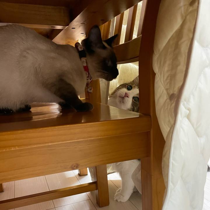 0f245269 ca35 473f 9476 14d3c2fe125d 1707509584584