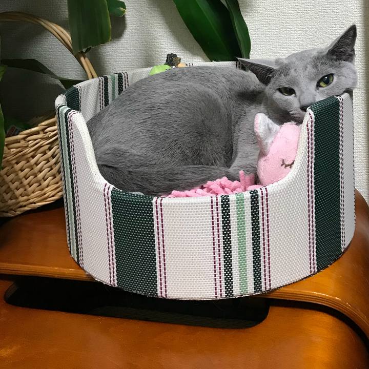 0f245cb0 1bf8 43b2 9a1b a2c8d0cf3402 1524309309716