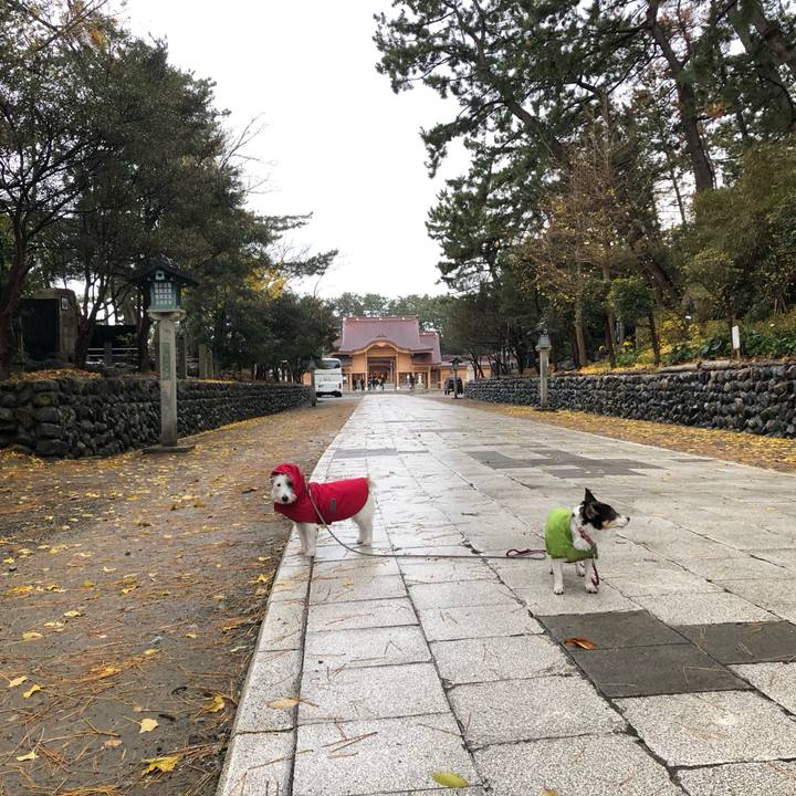 0f246373 77f9 4ad7 a005 14aebe5c31b7 1575505930400