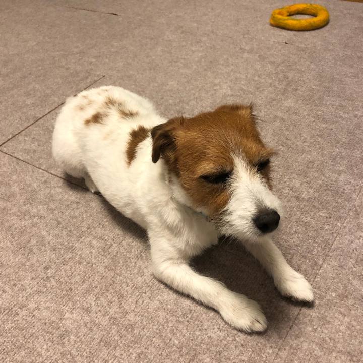 0f24d37e 5a45 4ea1 9949 179d3a2cdb10 1563018835164