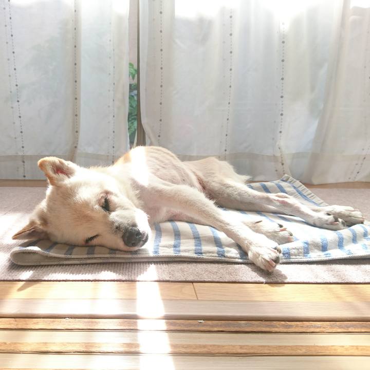 0f24f0b6 b256 43a1 bdf4 db01fe2176d8 1538879757683