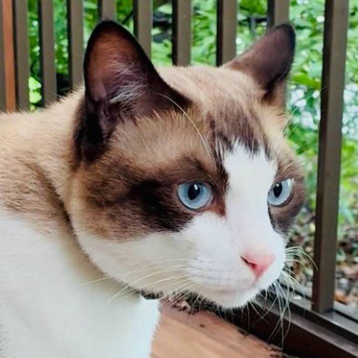 0f252663 6545 4d23 8fcf b2b02b86265b 1757814352107