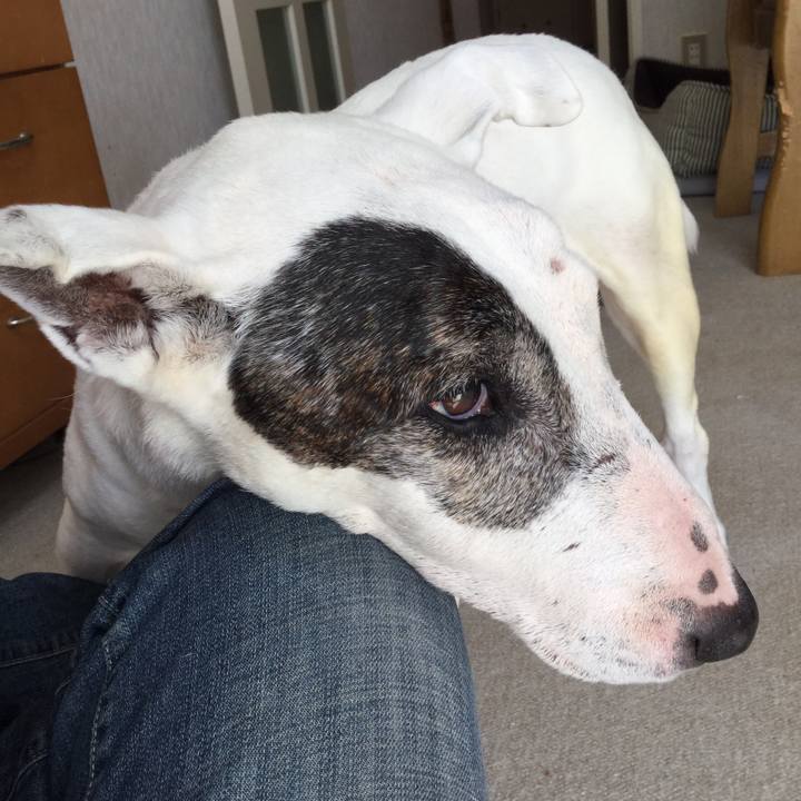 0f253a80 cce8 4d3b ae76 d4fc564d266e 1523747770185