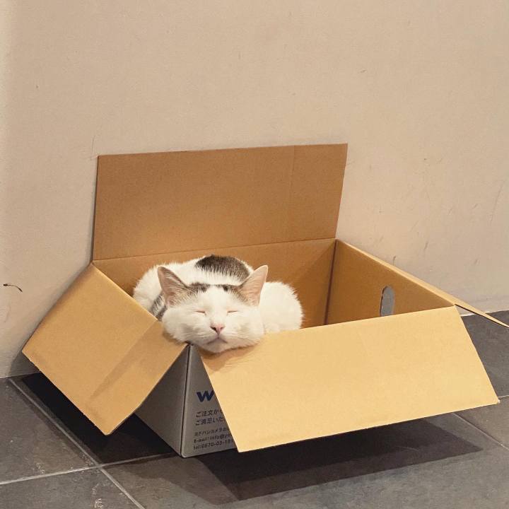 0f2546f0 6aa5 47b5 8fba 2fa0379333c9 1632393346827