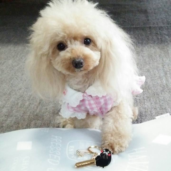 0f255946 c312 4774 9990 6c5f170632da 1536580582281