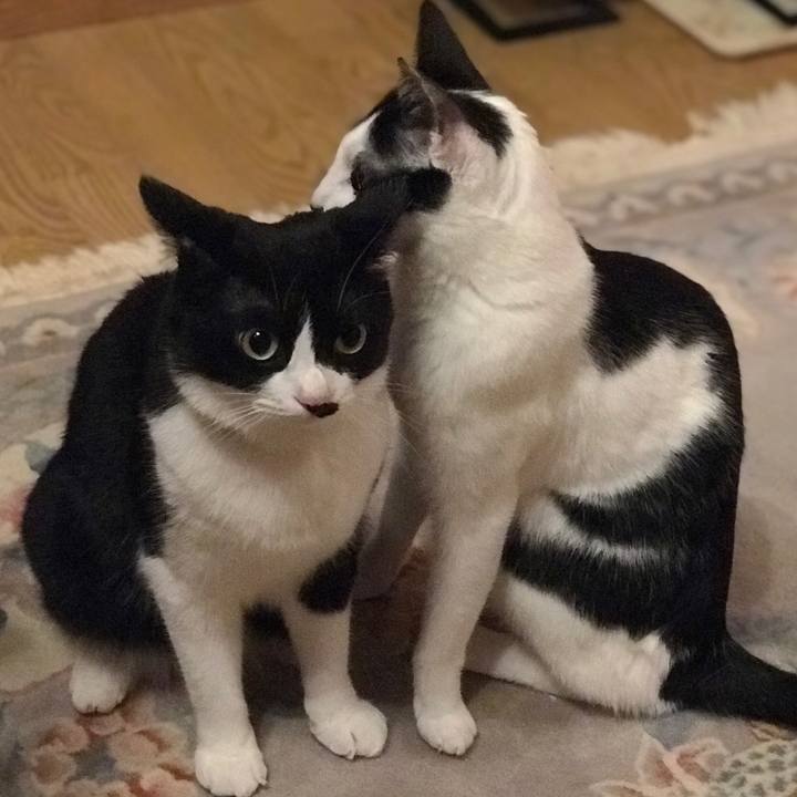 0f258f4d 024e 4714 af05 9895e8163e6a 1569329200419