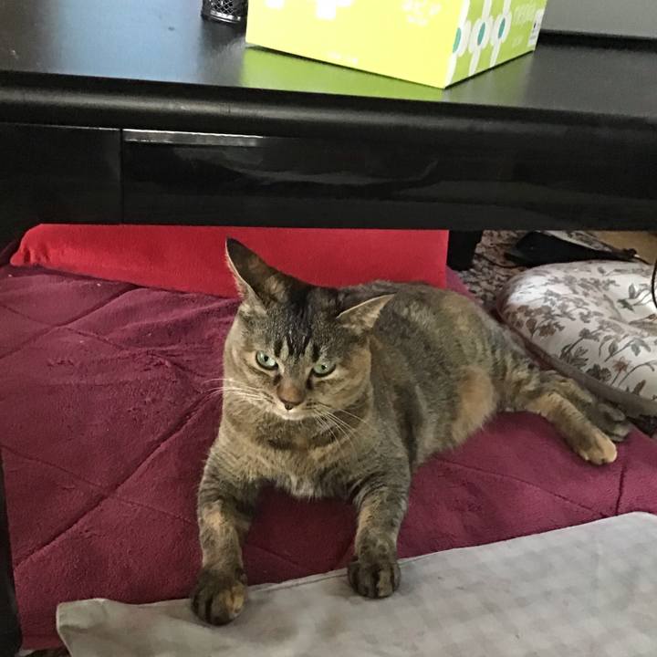 0f25cf6e 812c 4e13 89ad b2cd6c8d25be 1718180528090