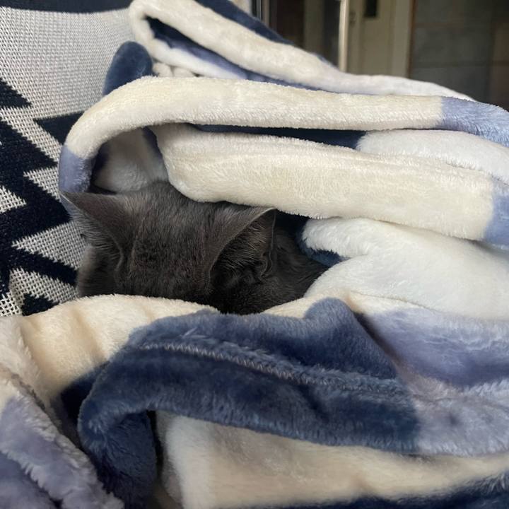 0f25d88c 2f1d 4159 8712 9e0f8ebbda04 1673161041614